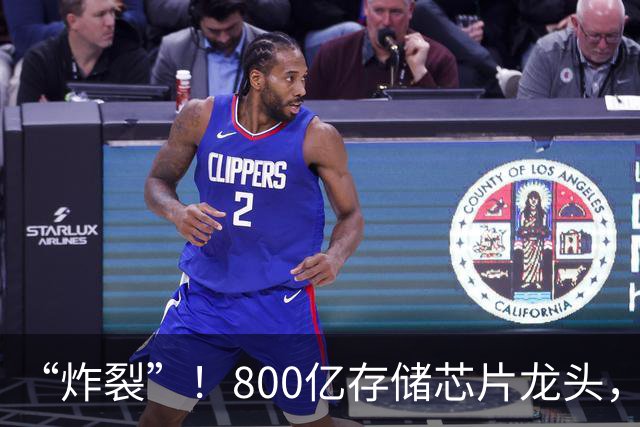 “炸裂”！800亿存储芯片龙头，第三季度净利润增长超2900%