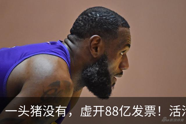 一头猪没有，虚开88亿发票！活活套走国企6000万