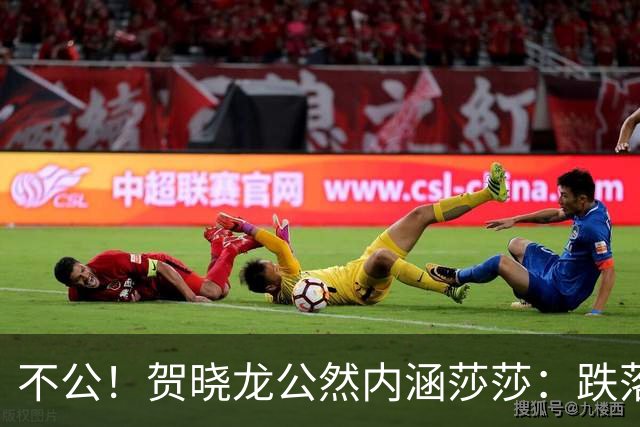 不公！贺晓龙公然内涵莎莎：跌落河北一姐之位，背后竟遭遇网络黑恶势力攻击