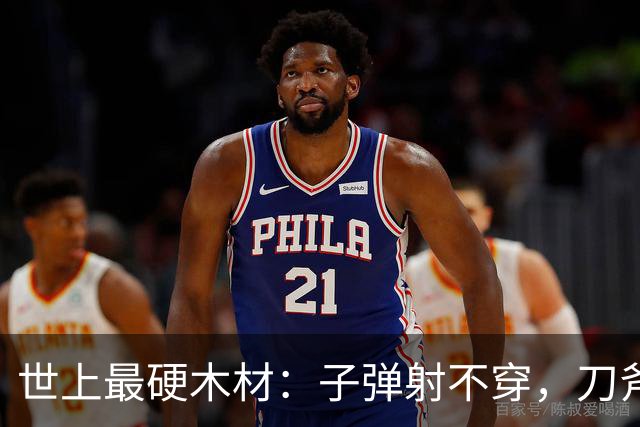 世上最硬木材：子弹射不穿，刀斧劈不烂，却被我国大量收购
