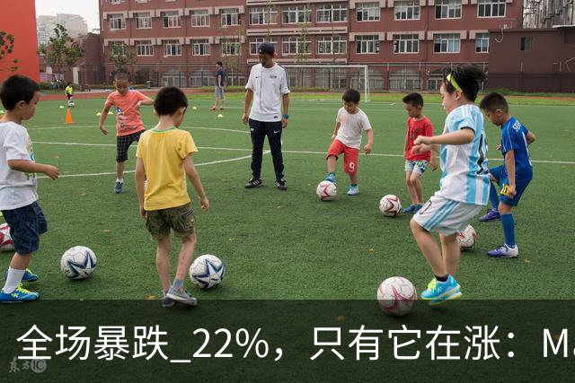 全场暴跌 22%，只有它在涨：Mate 80 的 900 万台是谁买的？