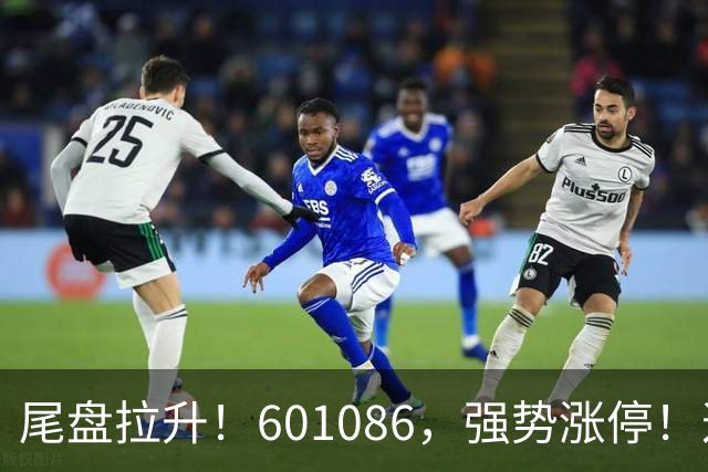 尾盘拉升！601086，强势涨停！这一板块逆市爆发