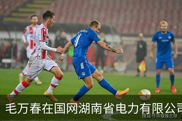 毛万春在国网湖南省电力有限公司调研