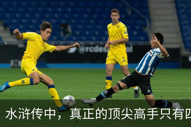 水浒传中，真正的顶尖高手只有四位，林冲、武松之辈也不值一提