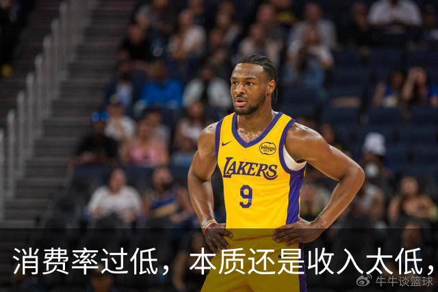 消费率过低，本质还是收入太低，提高分配收入才是重点