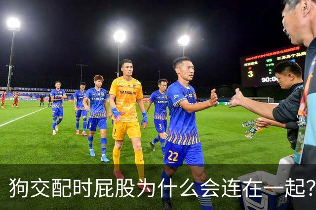 狗交配时屁股为什么会连在一起？是母狗不让，还是公狗不想？