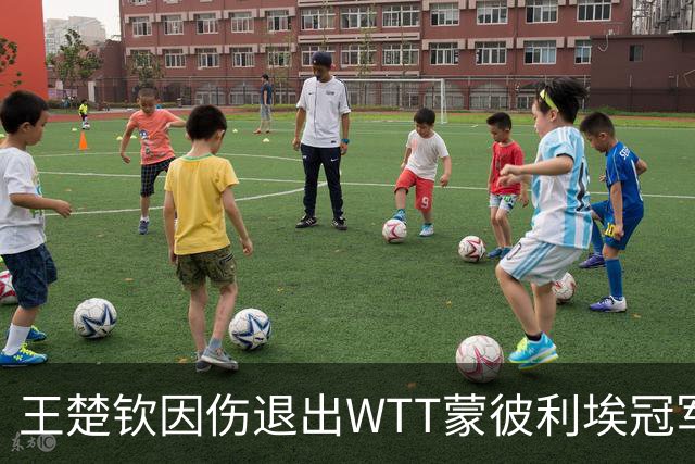 王楚钦因伤退出WTT蒙彼利埃冠军赛，韩国球员安宰贤递补