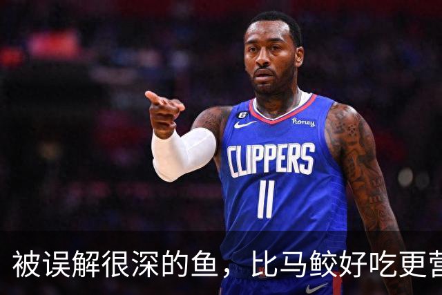 被误解很深的鱼，比马鲛好吃更营养，鱼肉似“千层糕”，我国独有