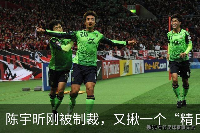 陈宇昕刚被制裁，又揪一个“精日”人员：竟然还是本土企业老板