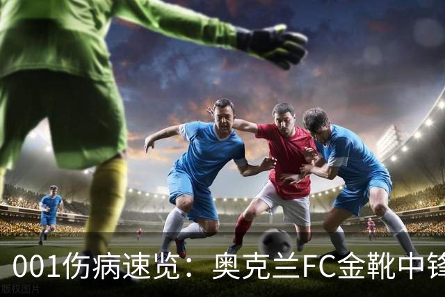 001伤病速览：奥克兰FC金靴中锋停赛，布里斯班狮吼后防厚度低
