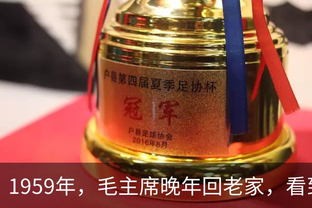 1959年，毛主席晚年回老家，看到杨开慧照片，决定见贺子珍一面